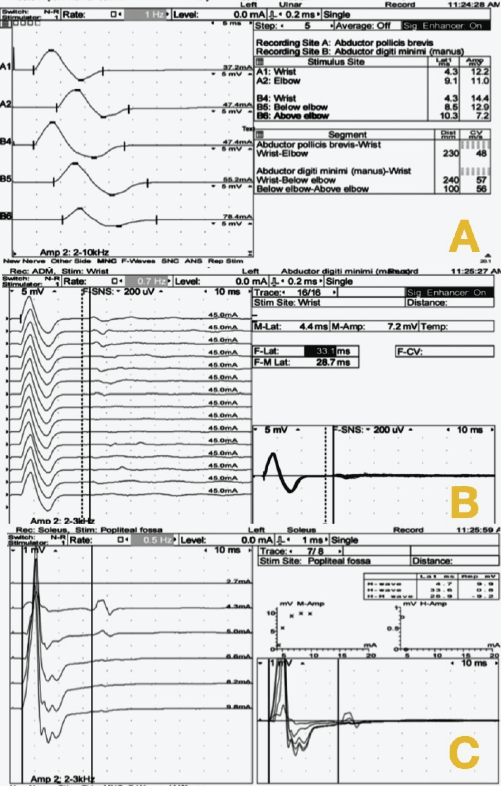 jcavi-aid1010-g001